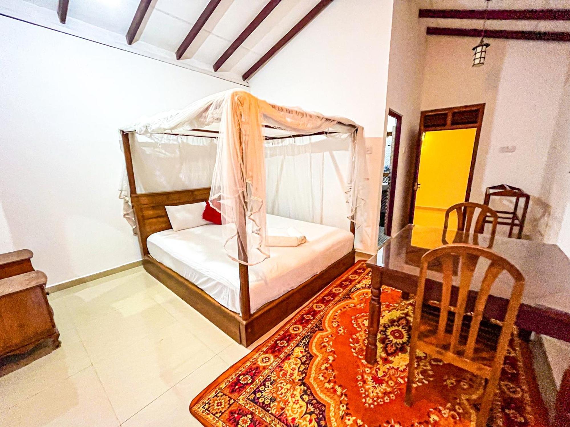 Galle Camellia Rom bilde