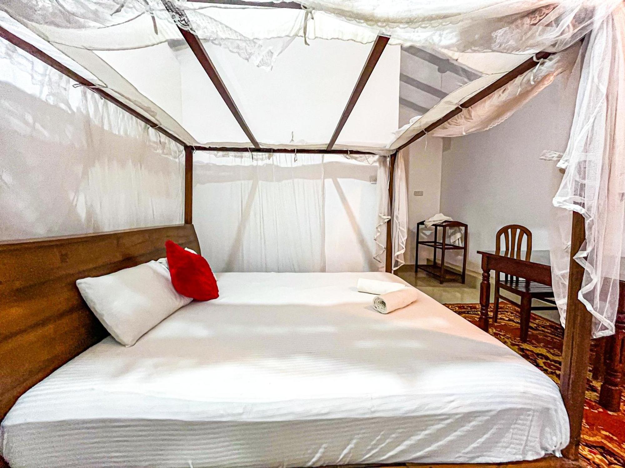 Galle Camellia Rom bilde