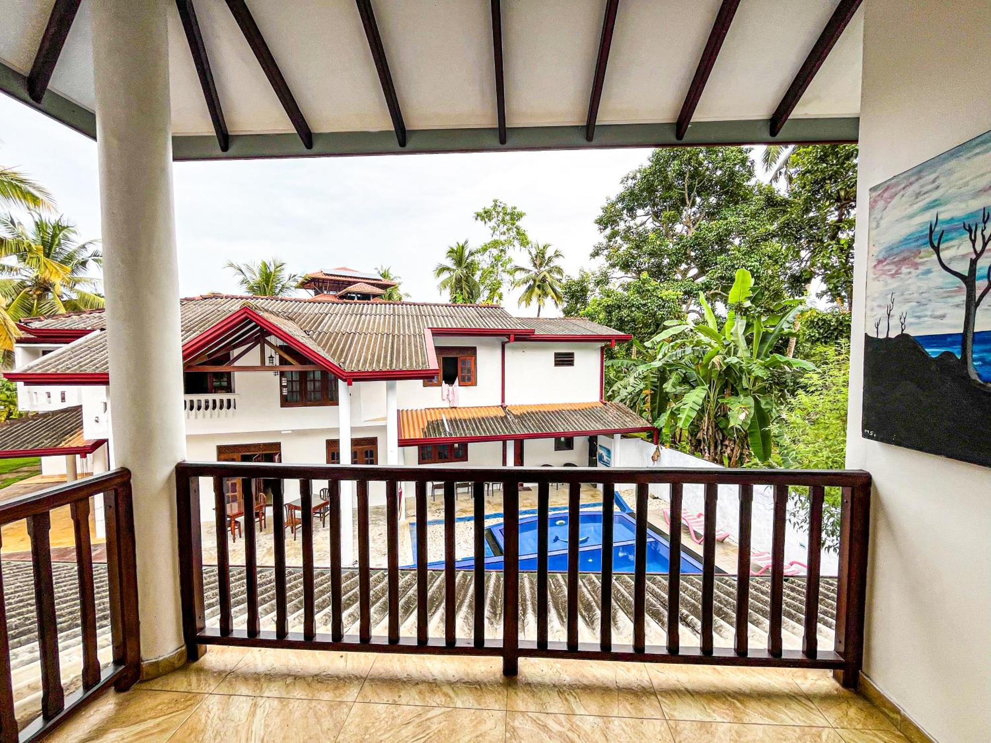 Galle Camellia Rom bilde