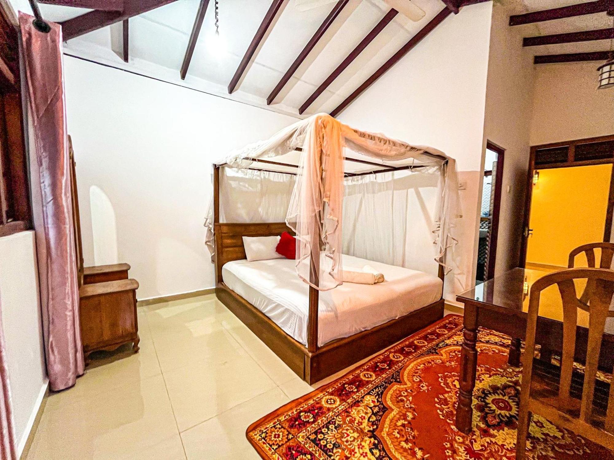 Galle Camellia Rom bilde