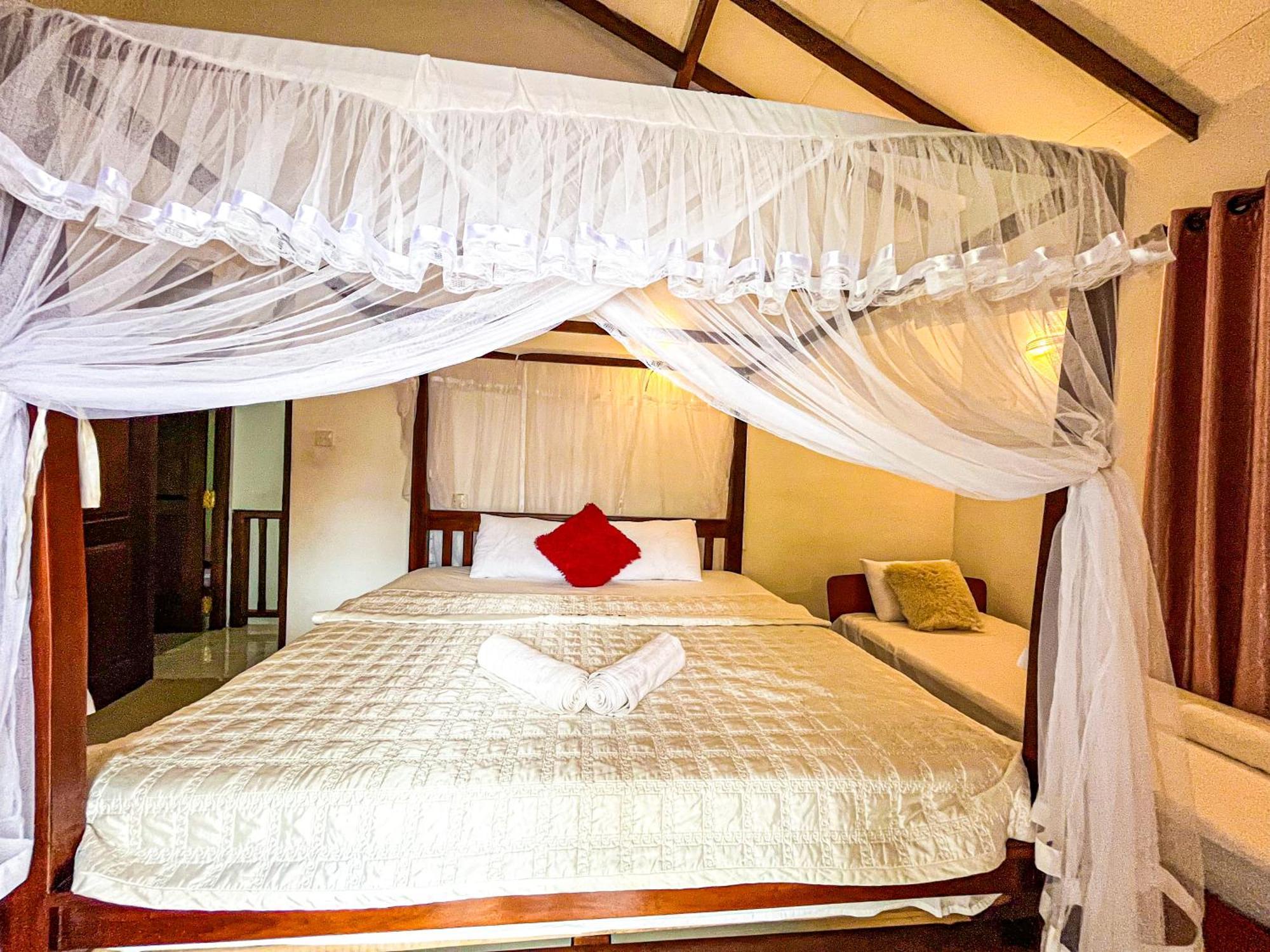 Galle Camellia Rom bilde