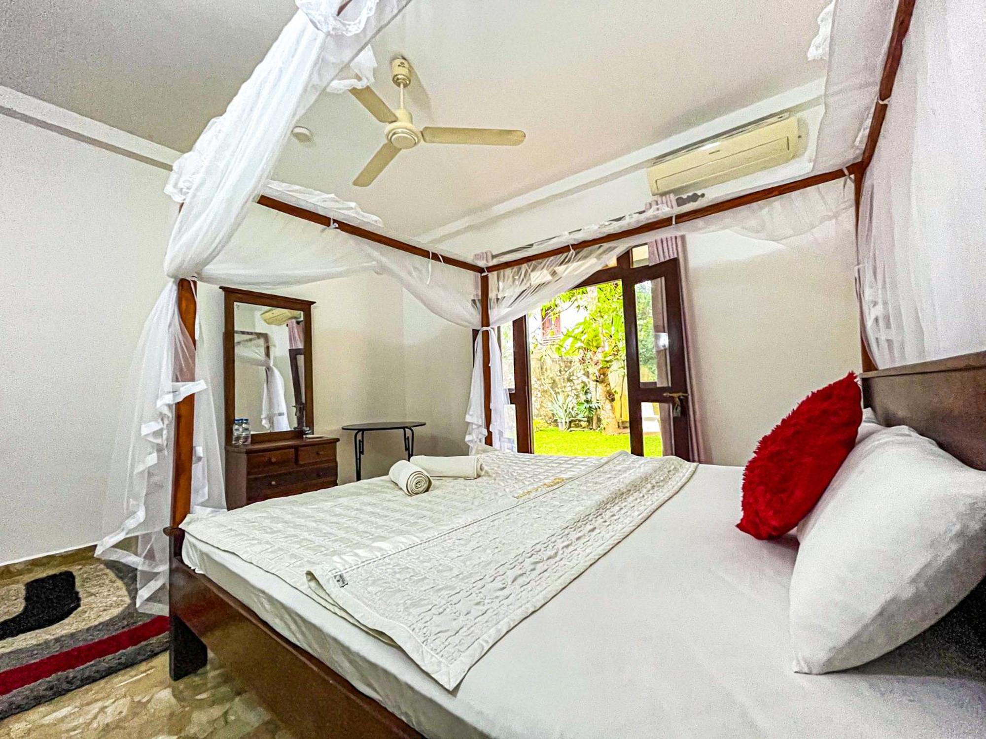 Galle Camellia Rom bilde