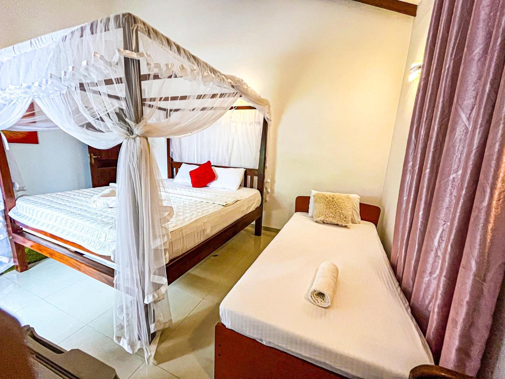 Galle Camellia Rom bilde