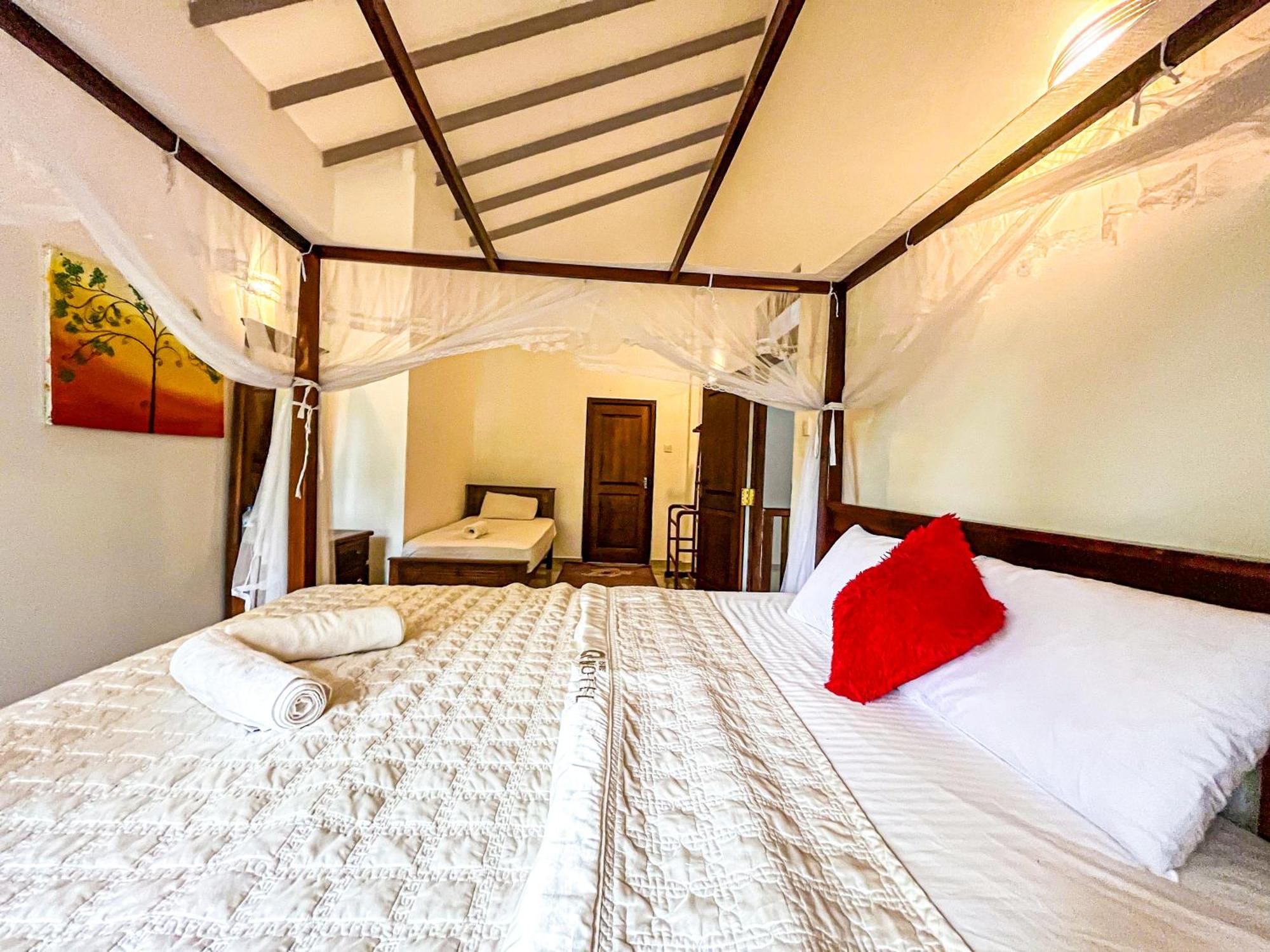 Galle Camellia Rom bilde