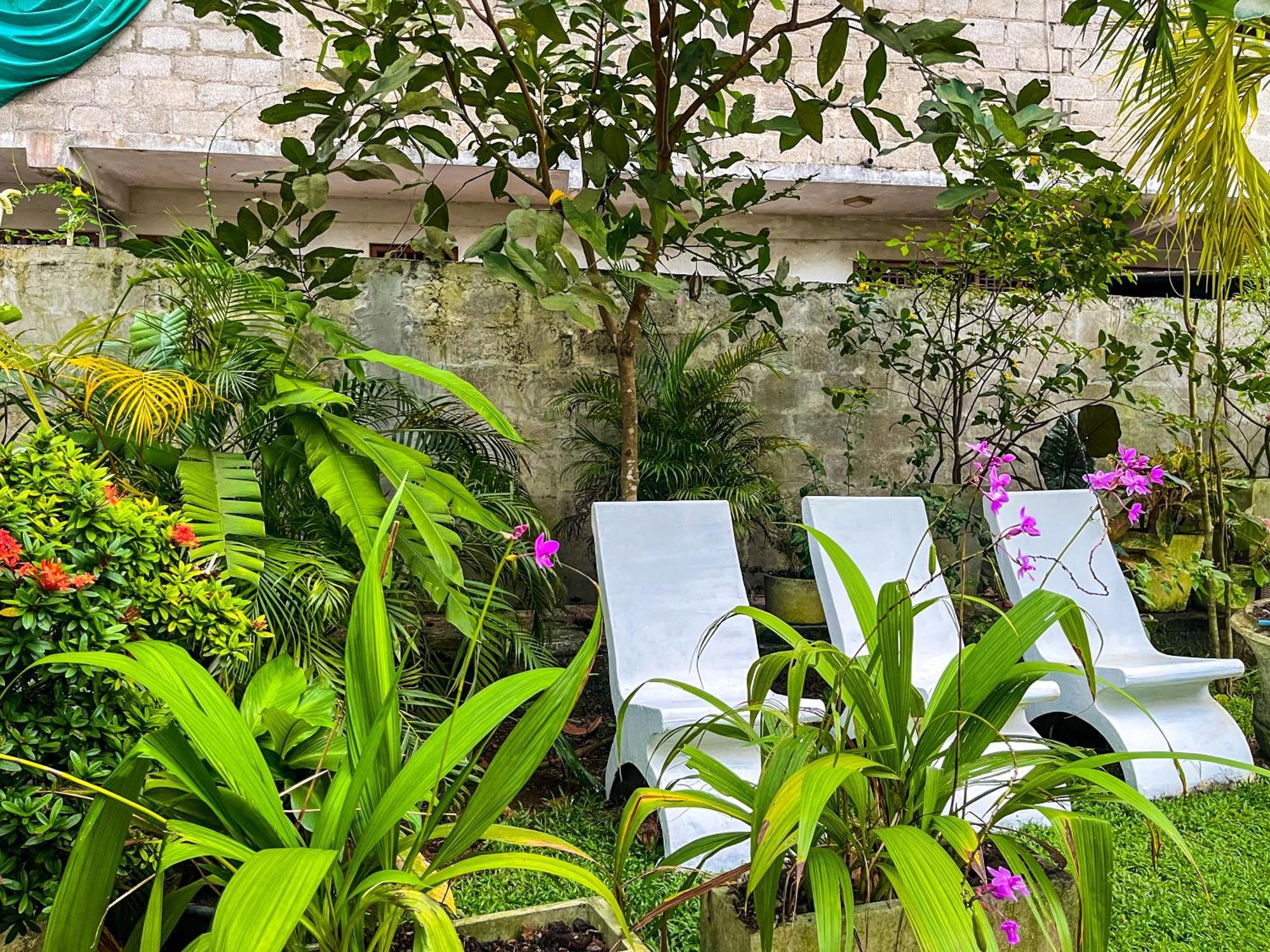 Galle Camellia Eksteriør bilde