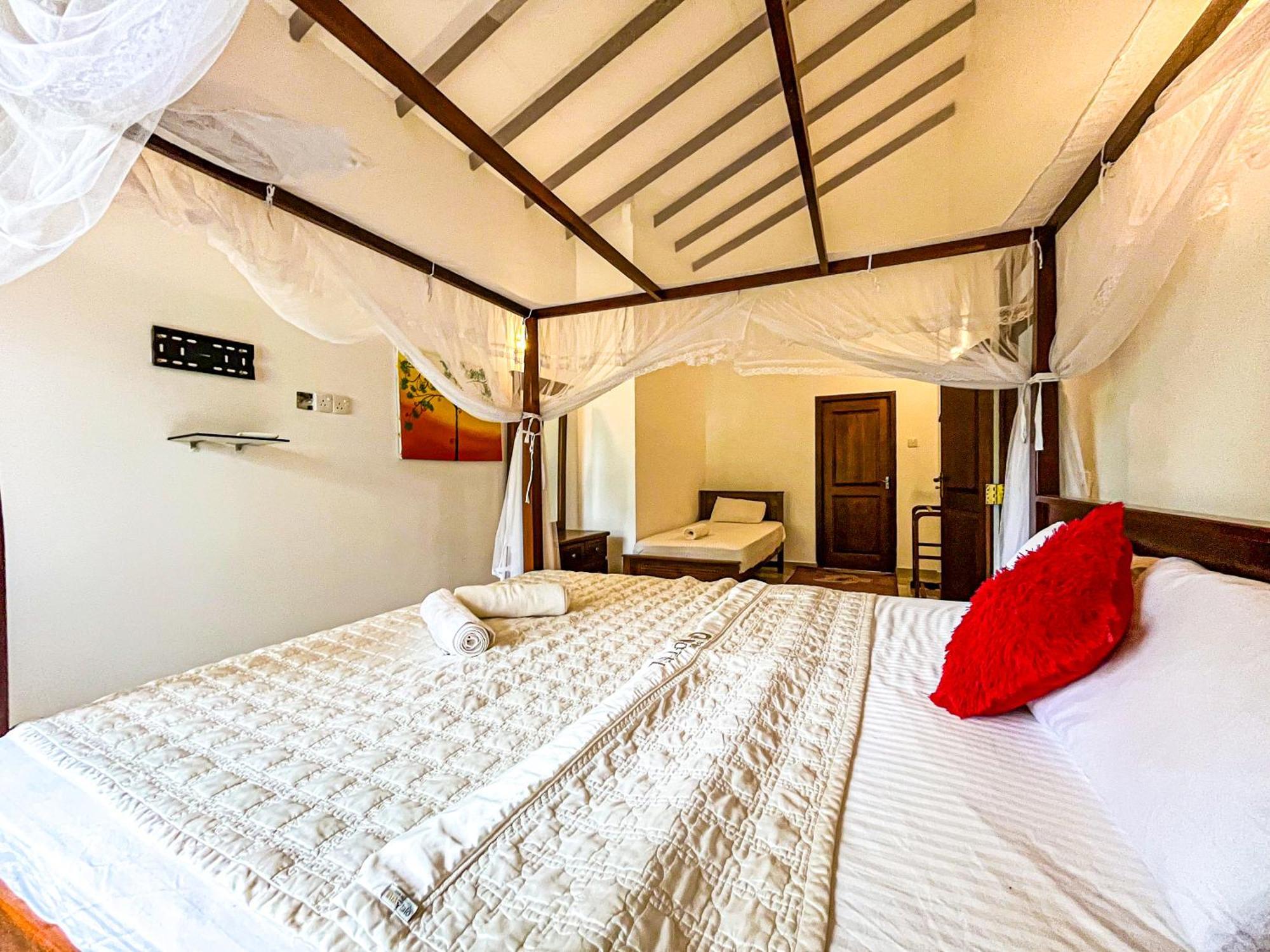 Galle Camellia Rom bilde